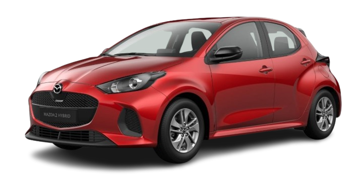 zdjęcie wybranego samochodu